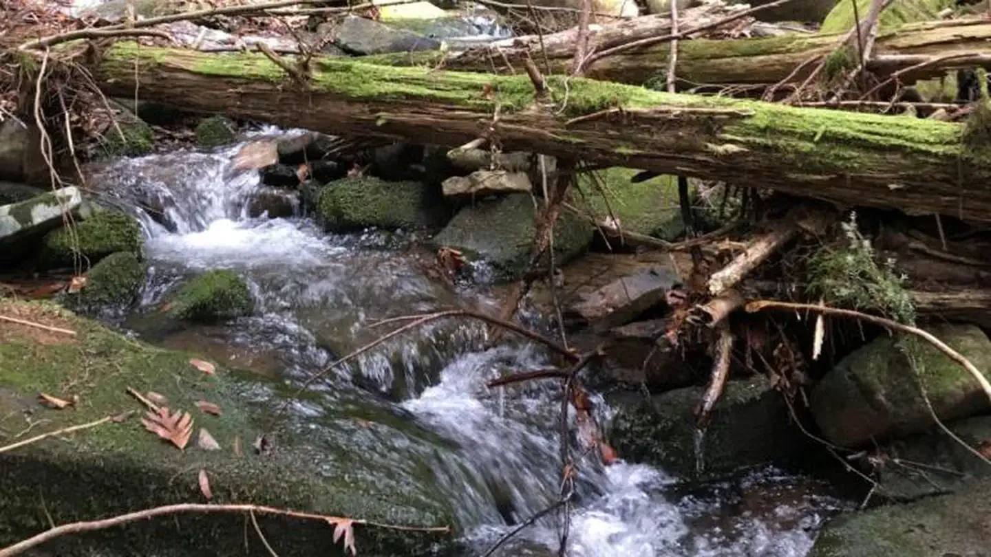Minister Creek Campground and Trailhead