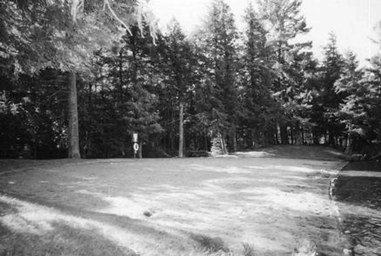 Laura Lake Campground