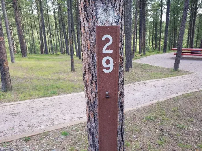 029