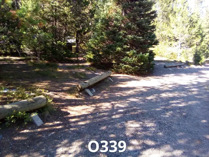 339