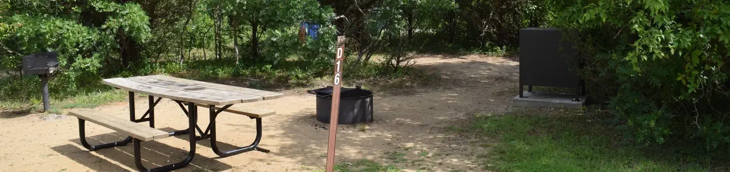 D16