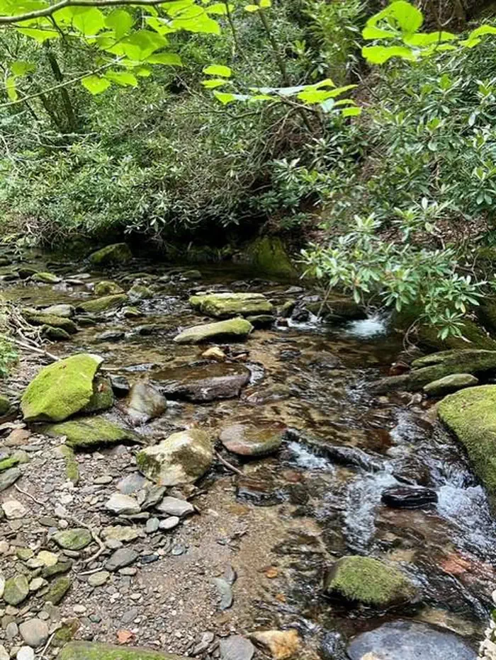 Basin Cove Backcountry Camping