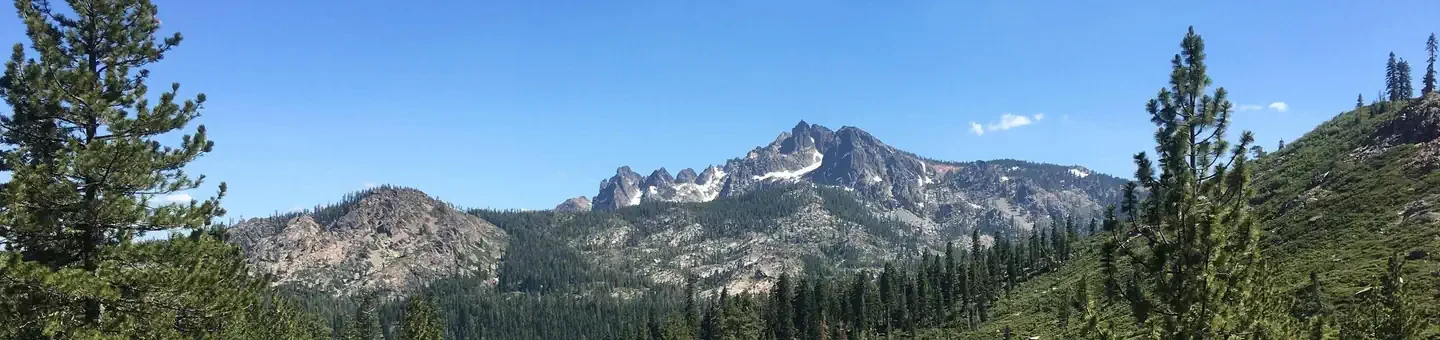 019