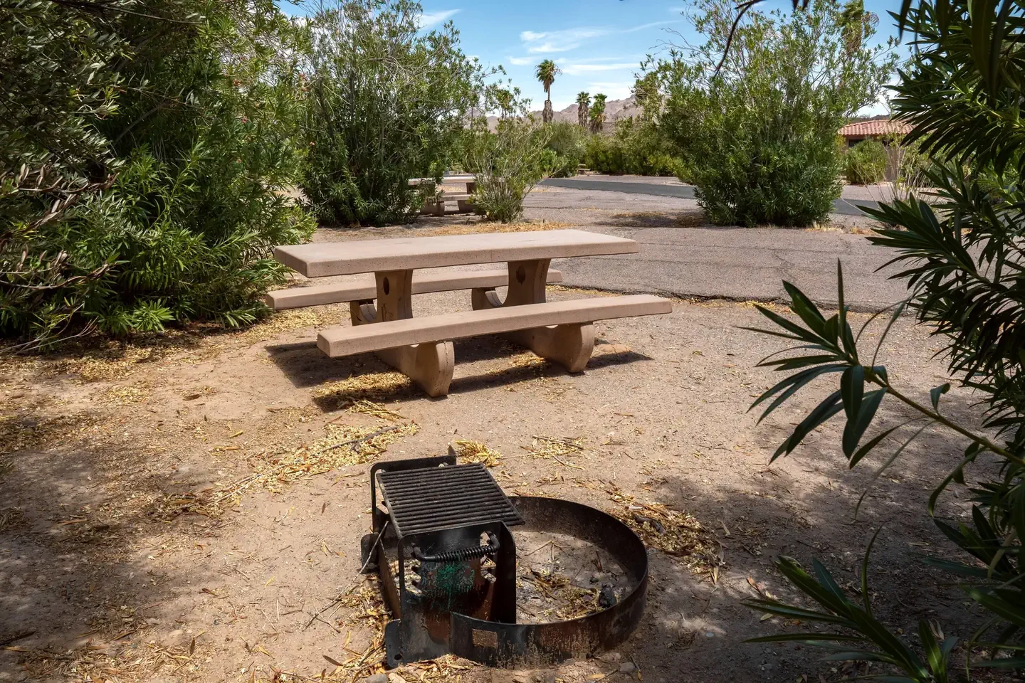 Callville Bay Campground