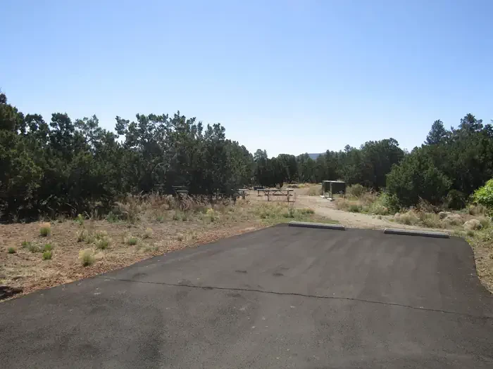 1 (Group Site)