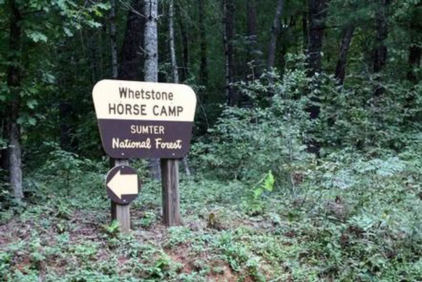 Whetstone Horse Camp