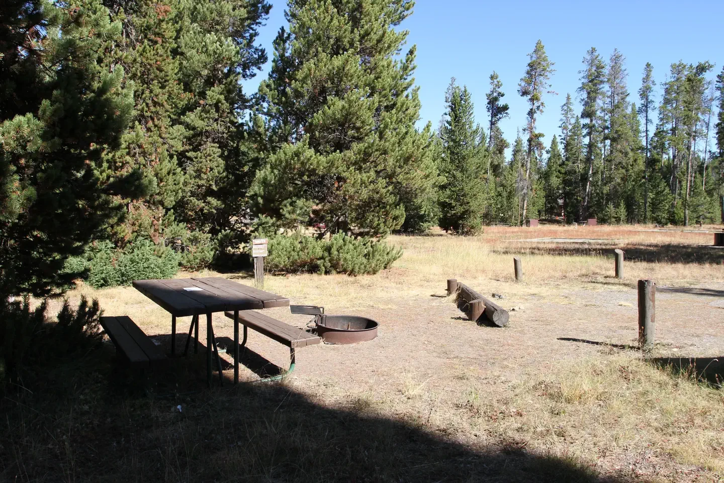 Indian Creek site #65