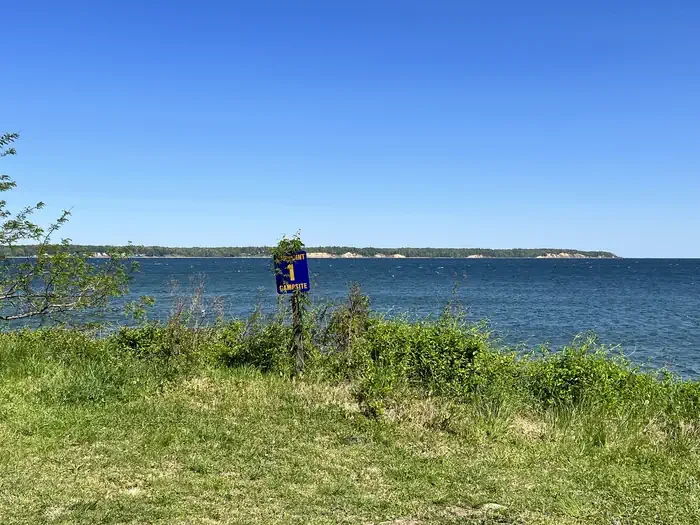 H1