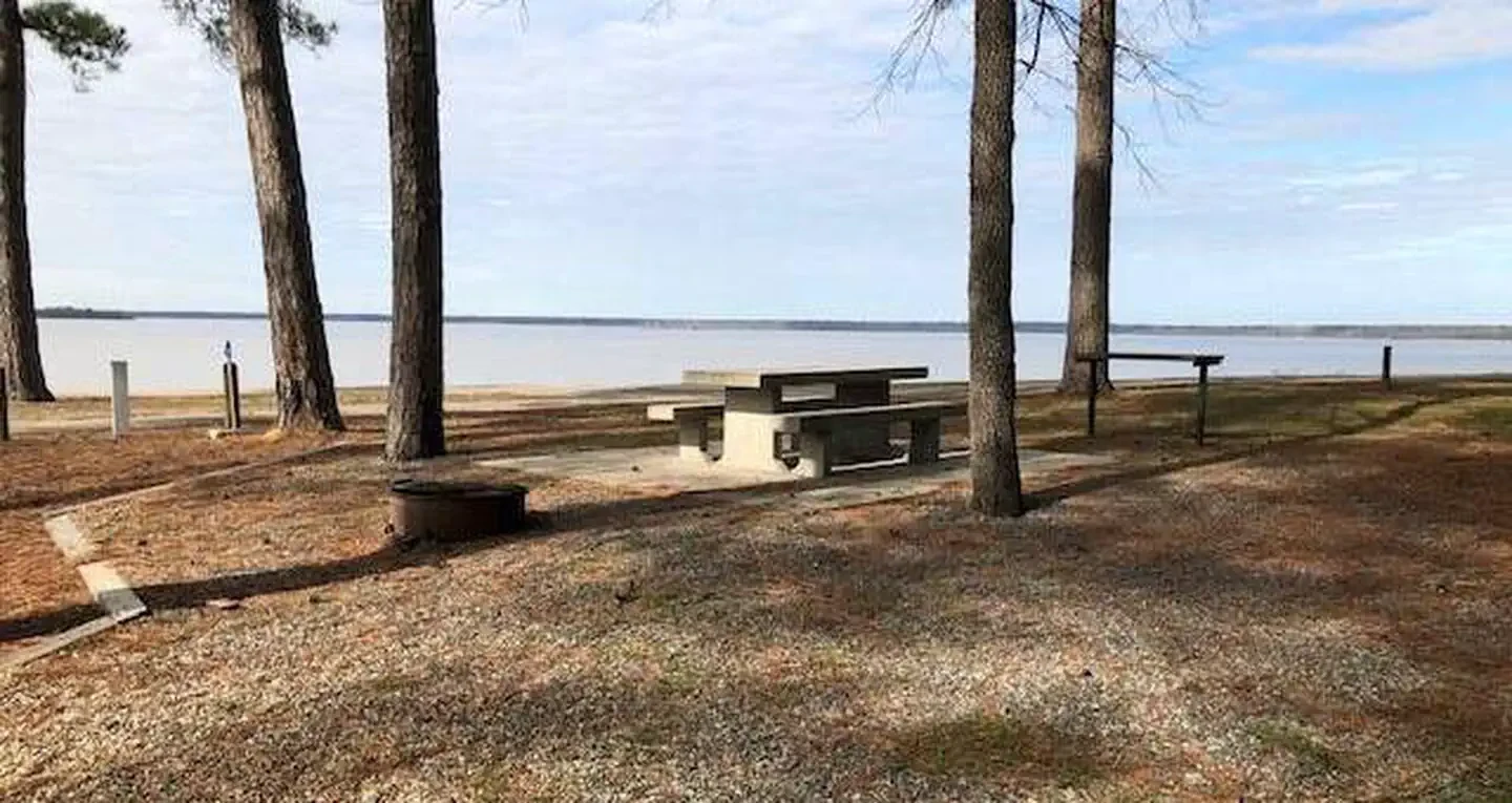 A35