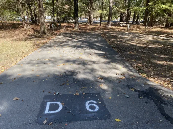 D06