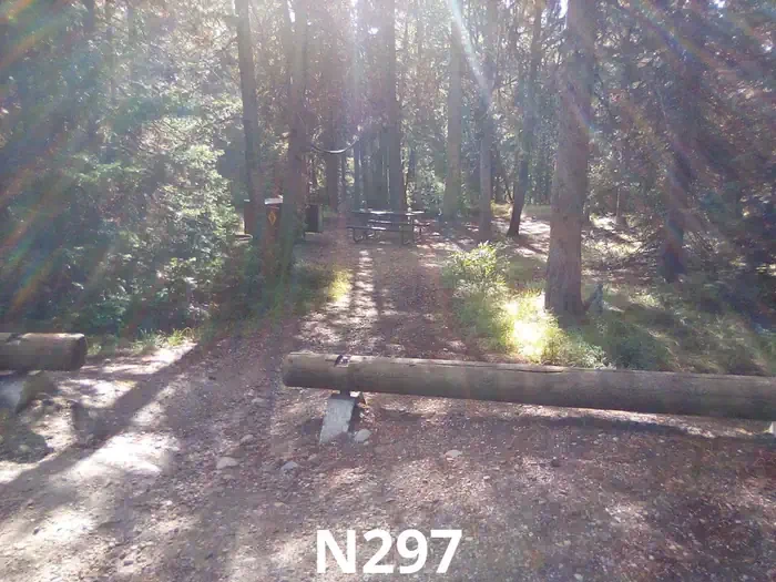 297