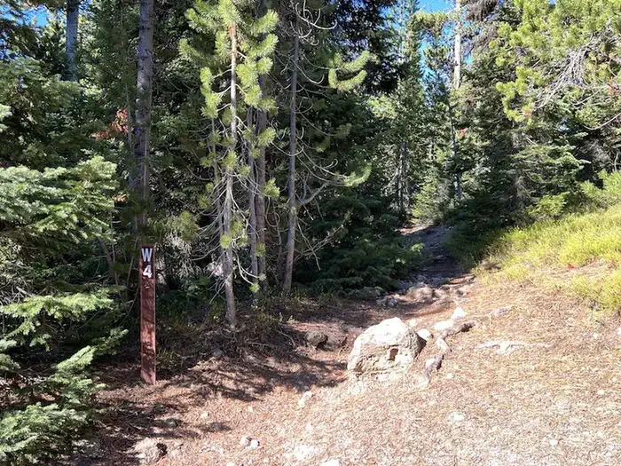Lewis Lake site #4