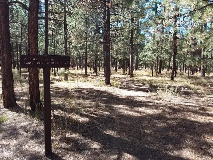 Canyon Point