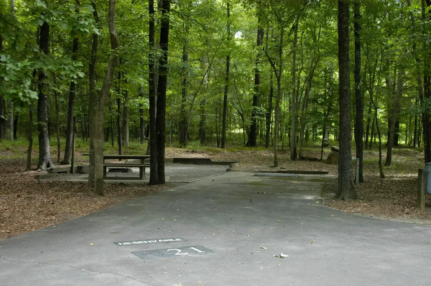 D21
