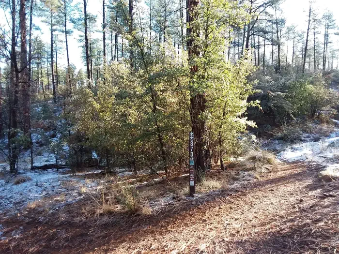 White Spar Campground