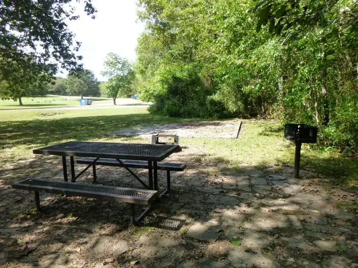 Site# 10