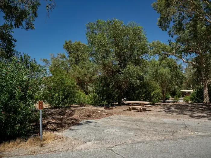Site 24