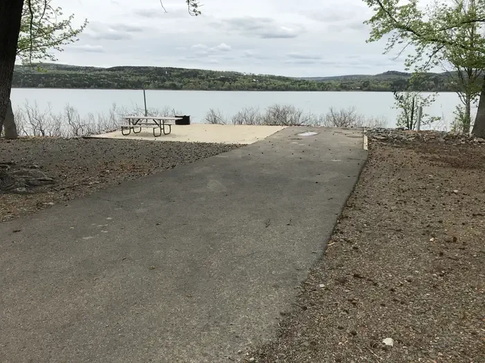 C06