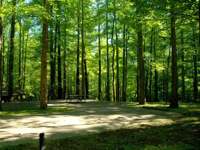 A57