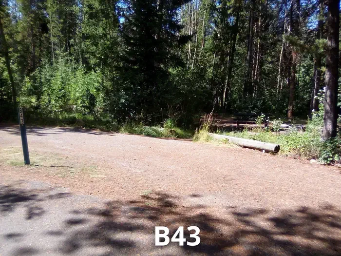 43