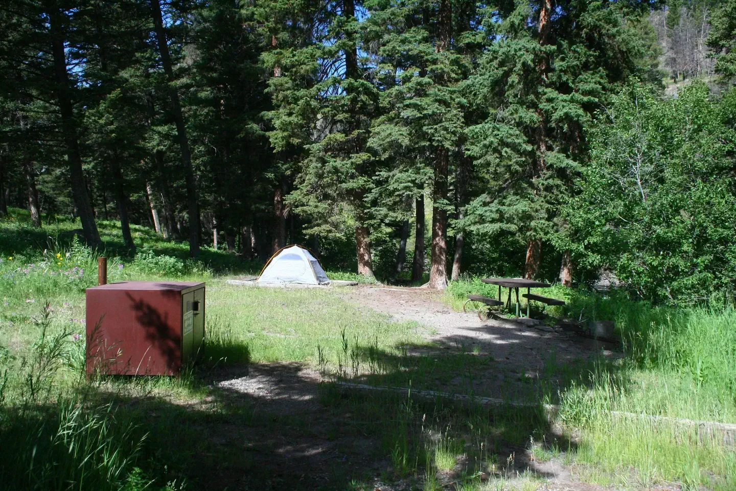 Slough Creek site #11