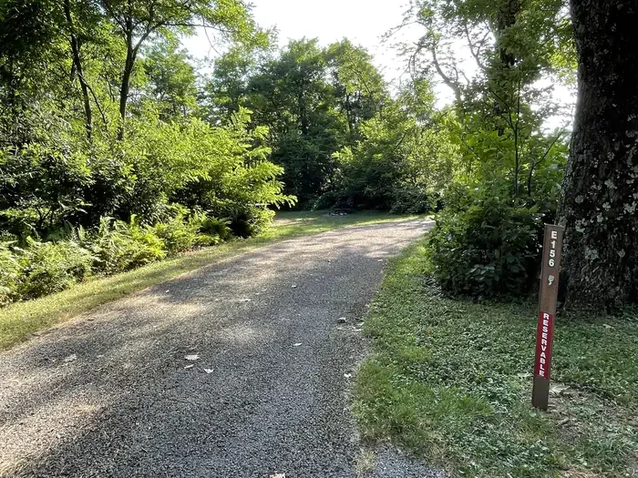 E156