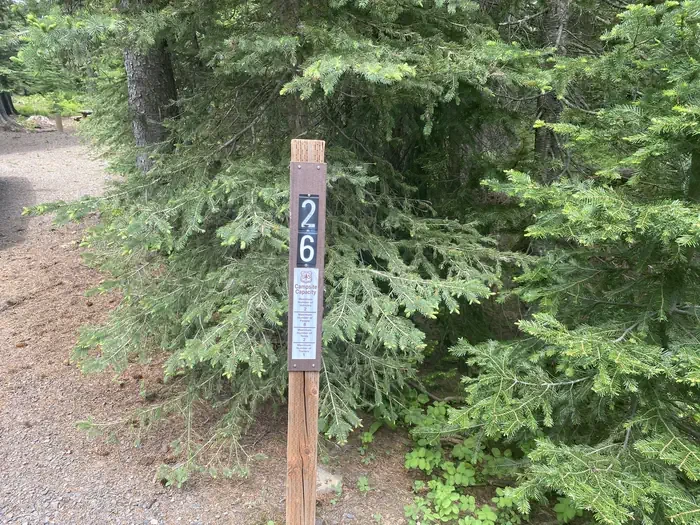 26