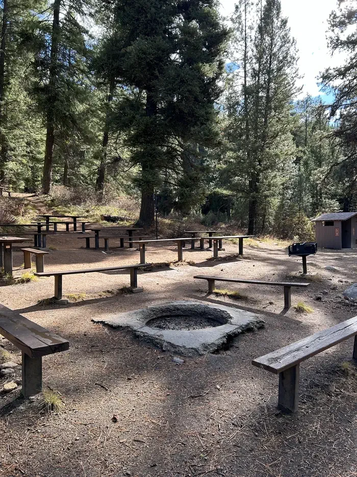Hayfork Group Cg