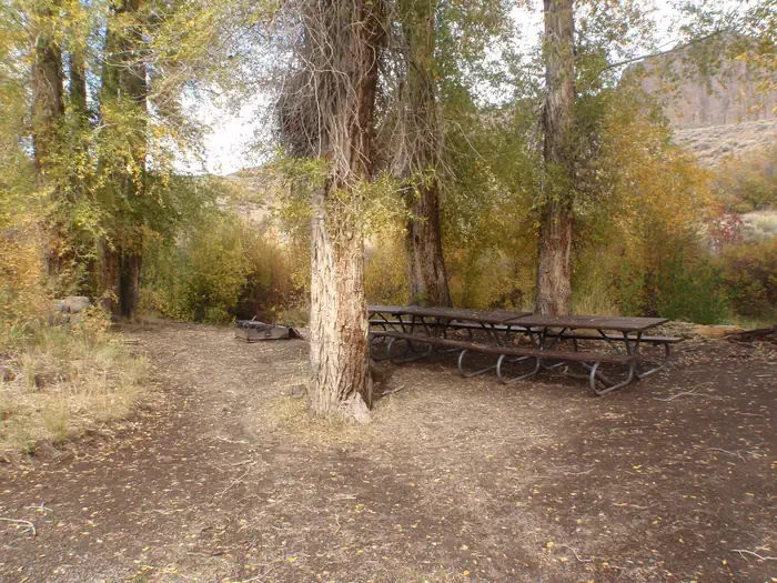 Red Creek Group Site