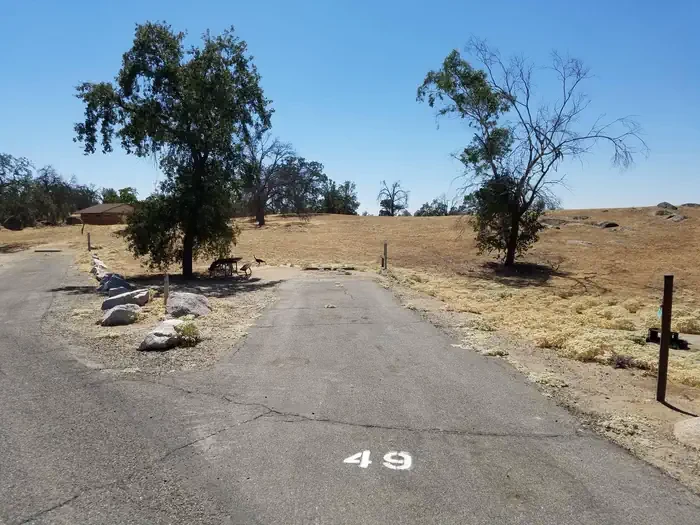 49