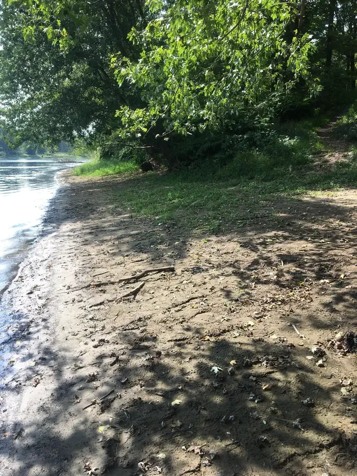 Site #5