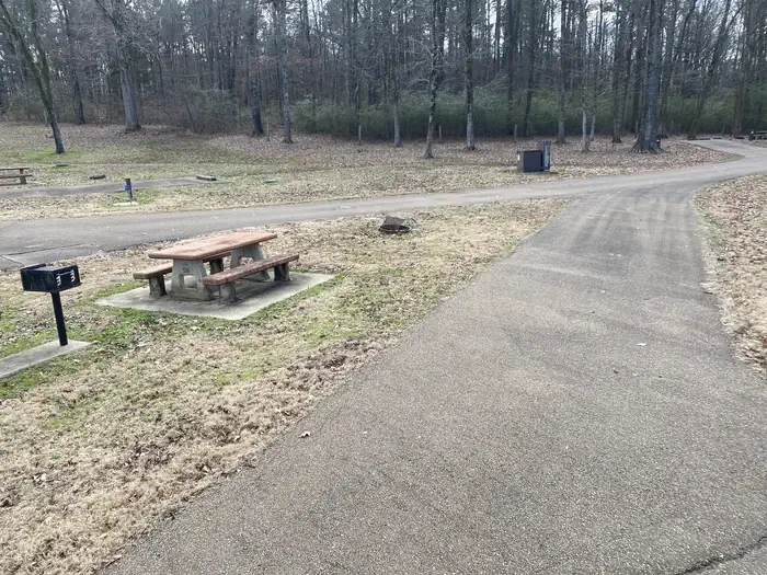 Ford's Well 9