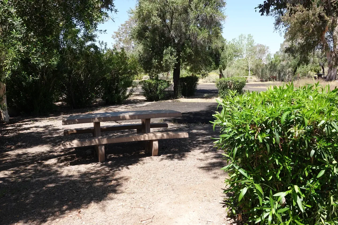 Site 16