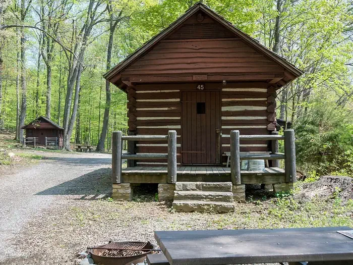 Cabin 45