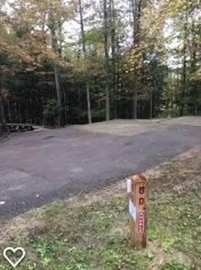D06