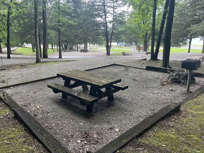 126