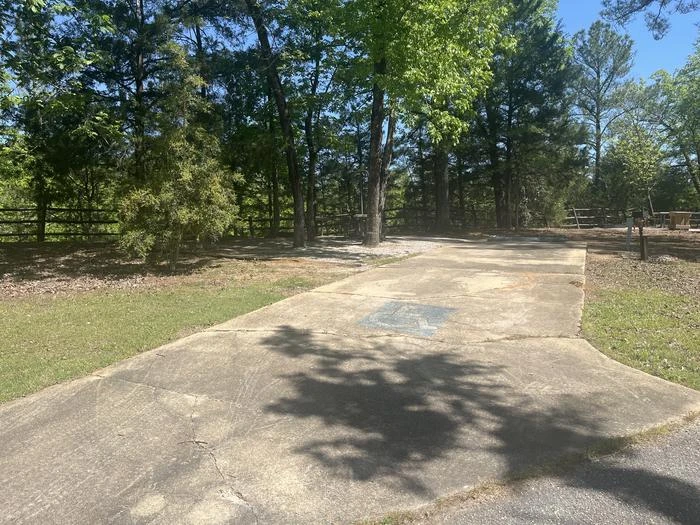 Site 19