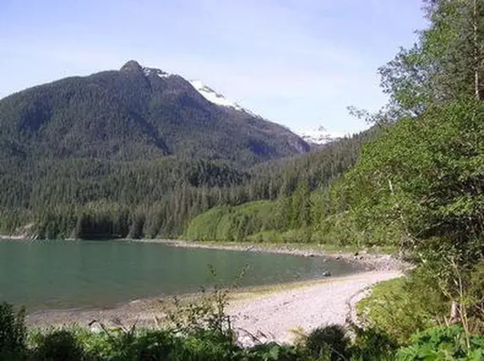 Cascade Creek Cabin
