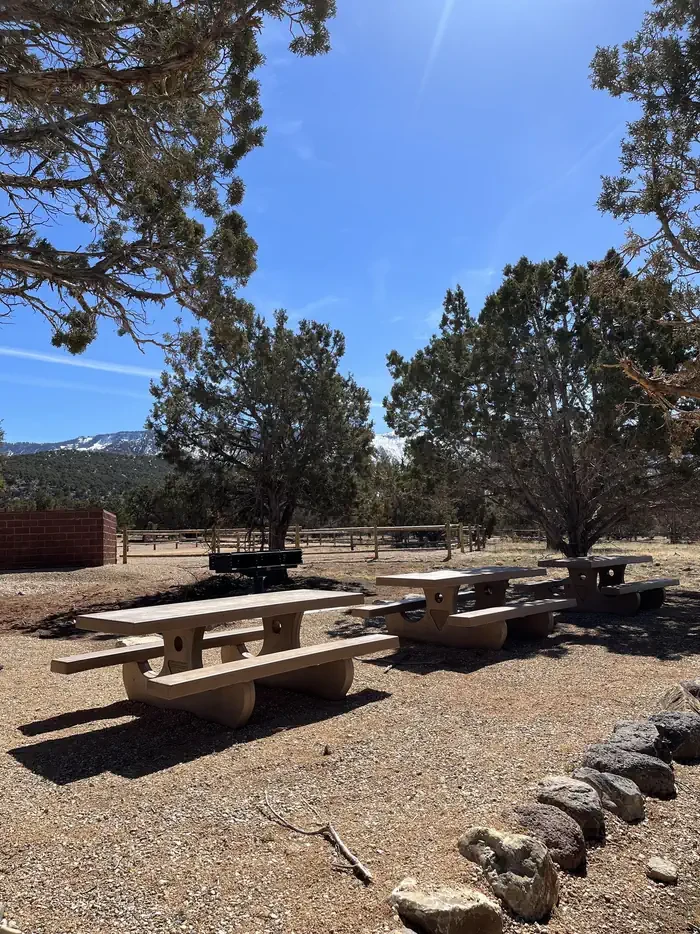 Group  Site 1