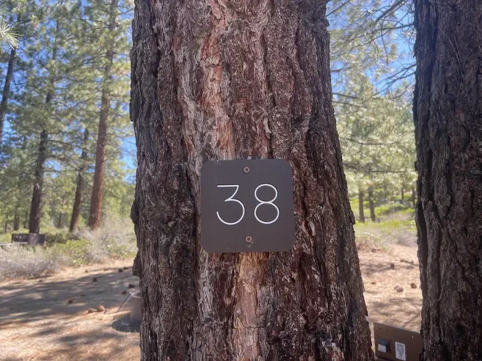 38