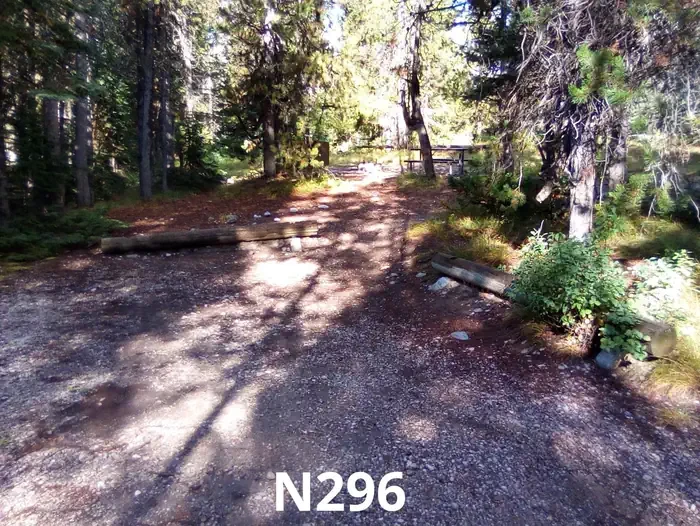 296