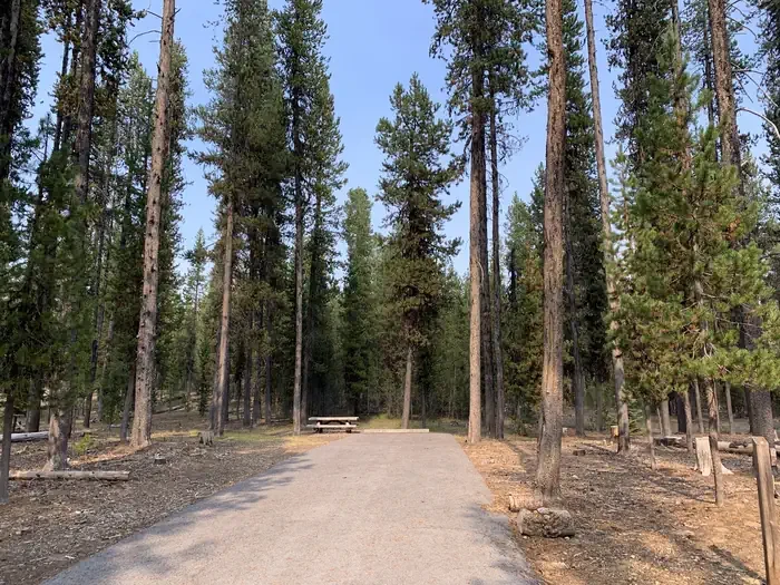 C13