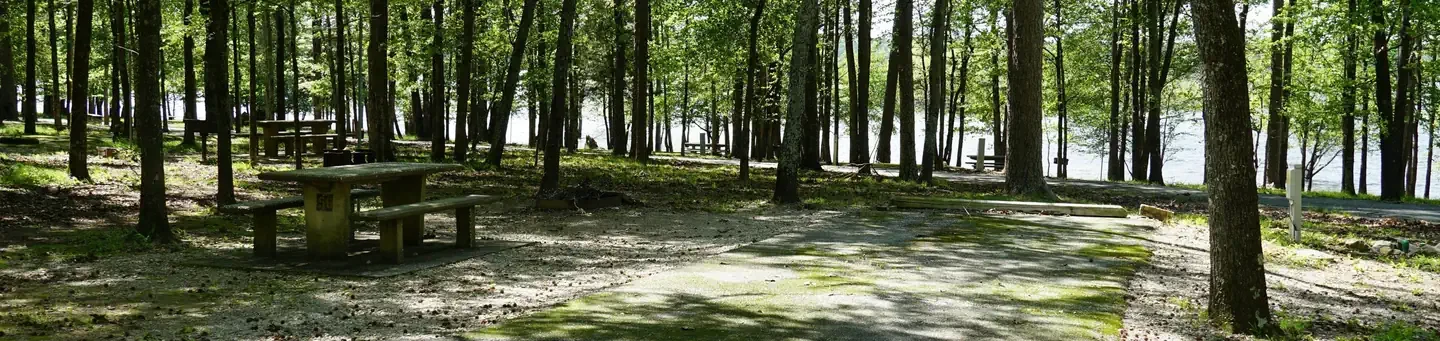 56