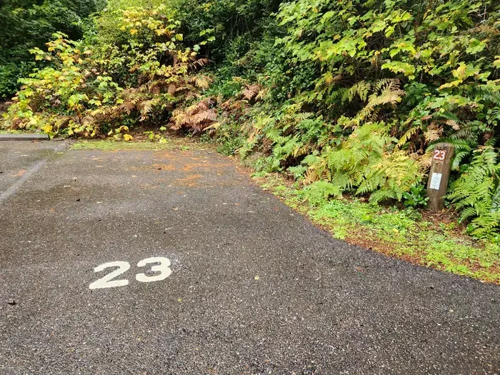 23