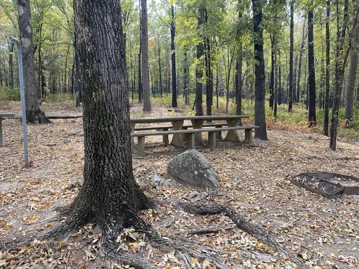 L19