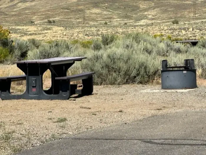 B26