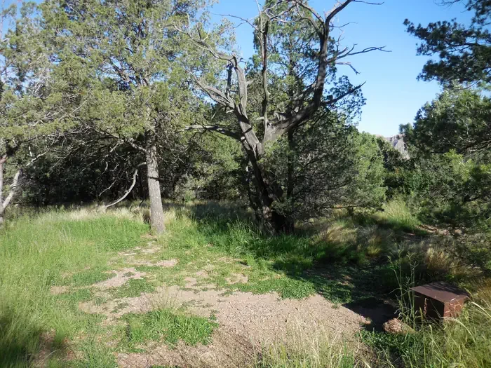 Juniper Flat 2