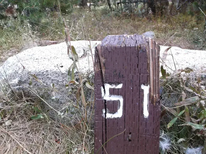 051