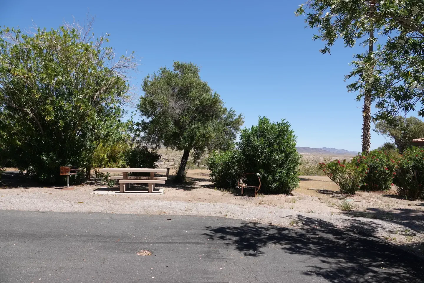Site 38