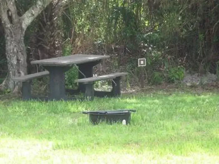 Pinecrest Group Campground